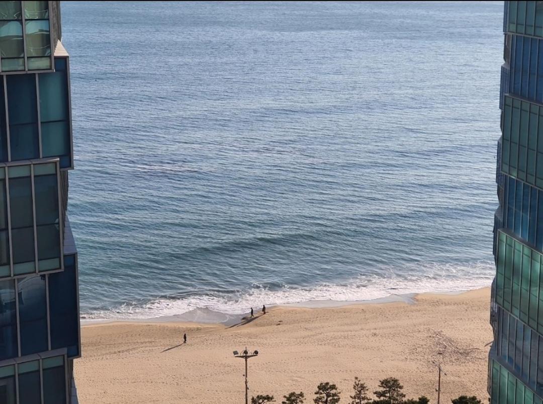 Haeundae Lavender House-Irua Hotel Busan Esterno foto